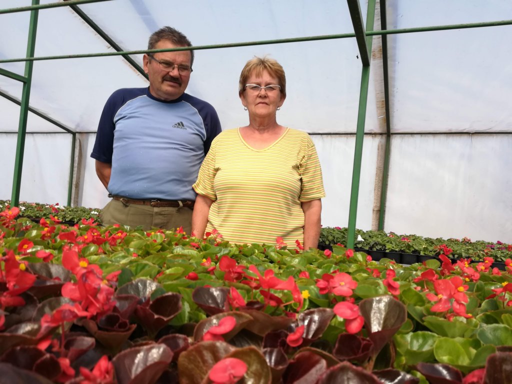 kaiser
